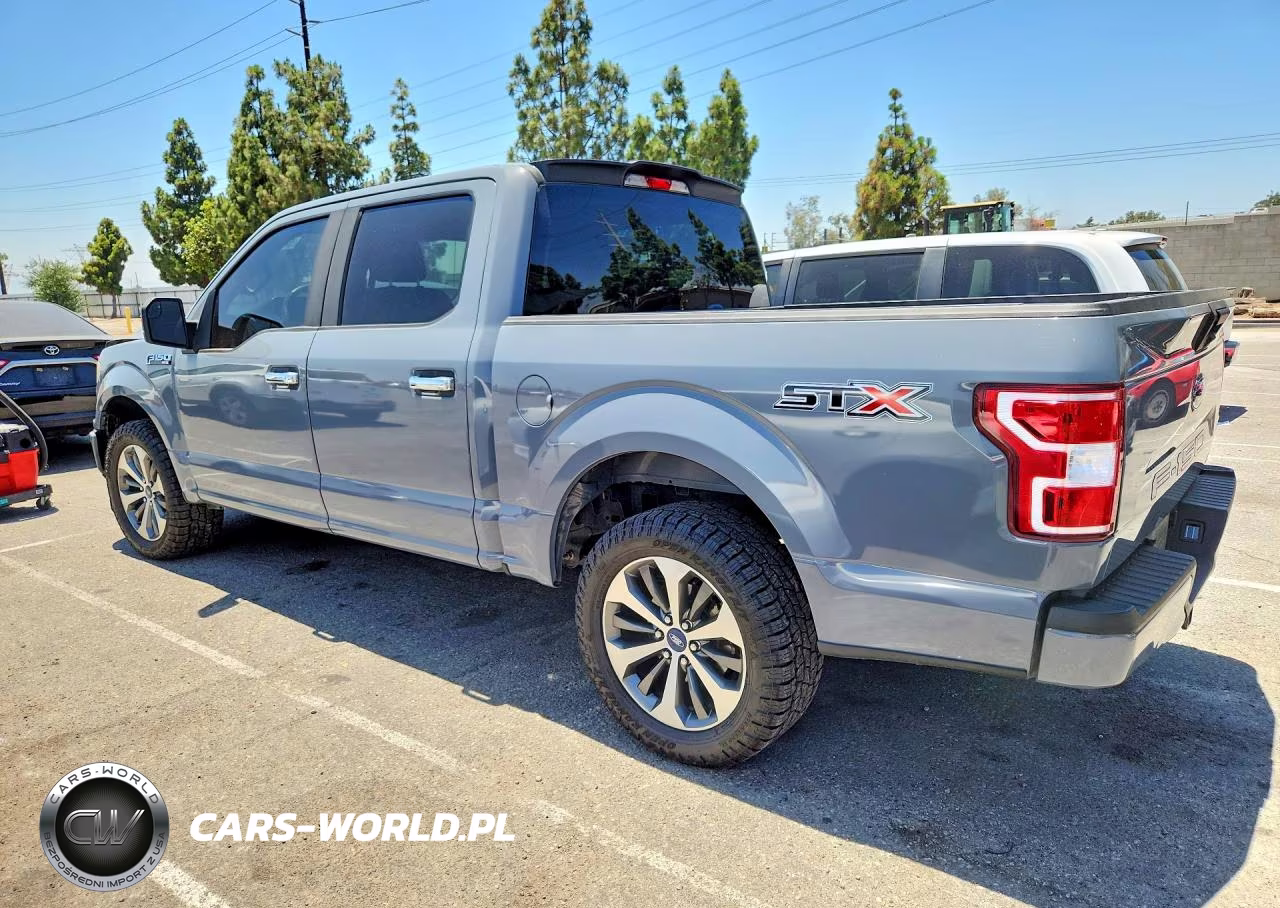 2019 Ford F150 Supercrew VIN:1FTEW1CP4KKC77955 - 2