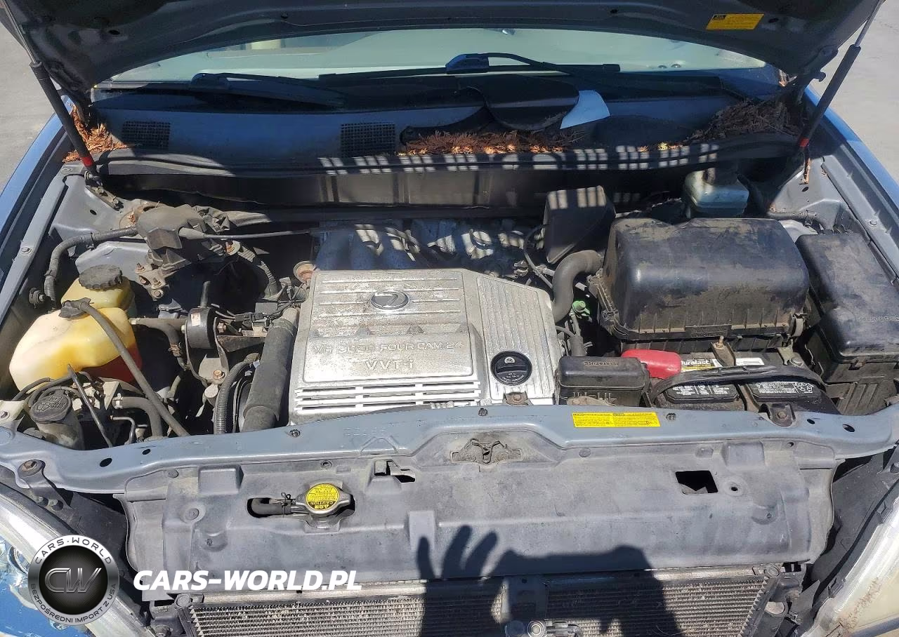 2002 Lexus Rx 300 VIN:JTJHF10U020282179 - 12