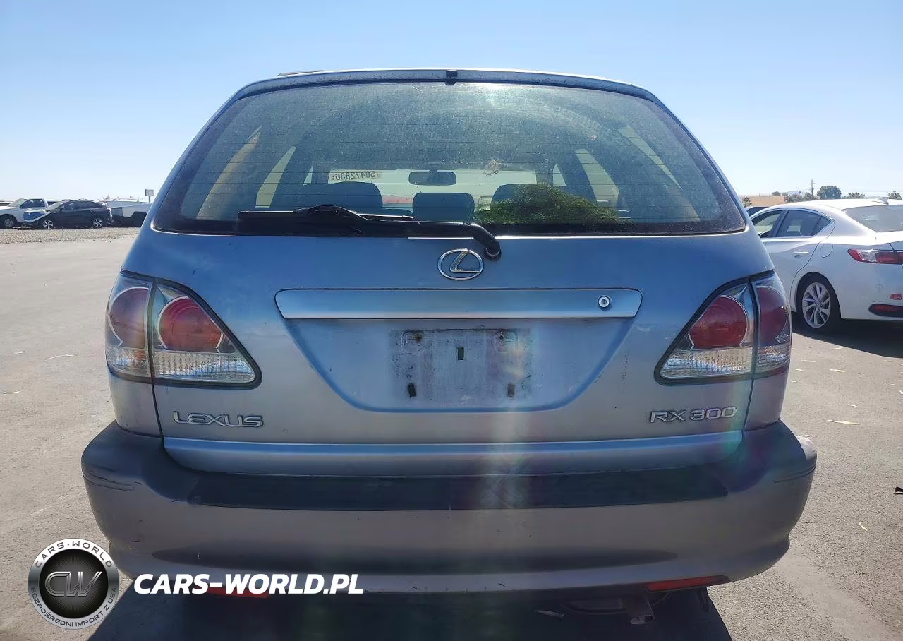 2002 Lexus Rx 300 VIN:JTJHF10U020282179 - 6