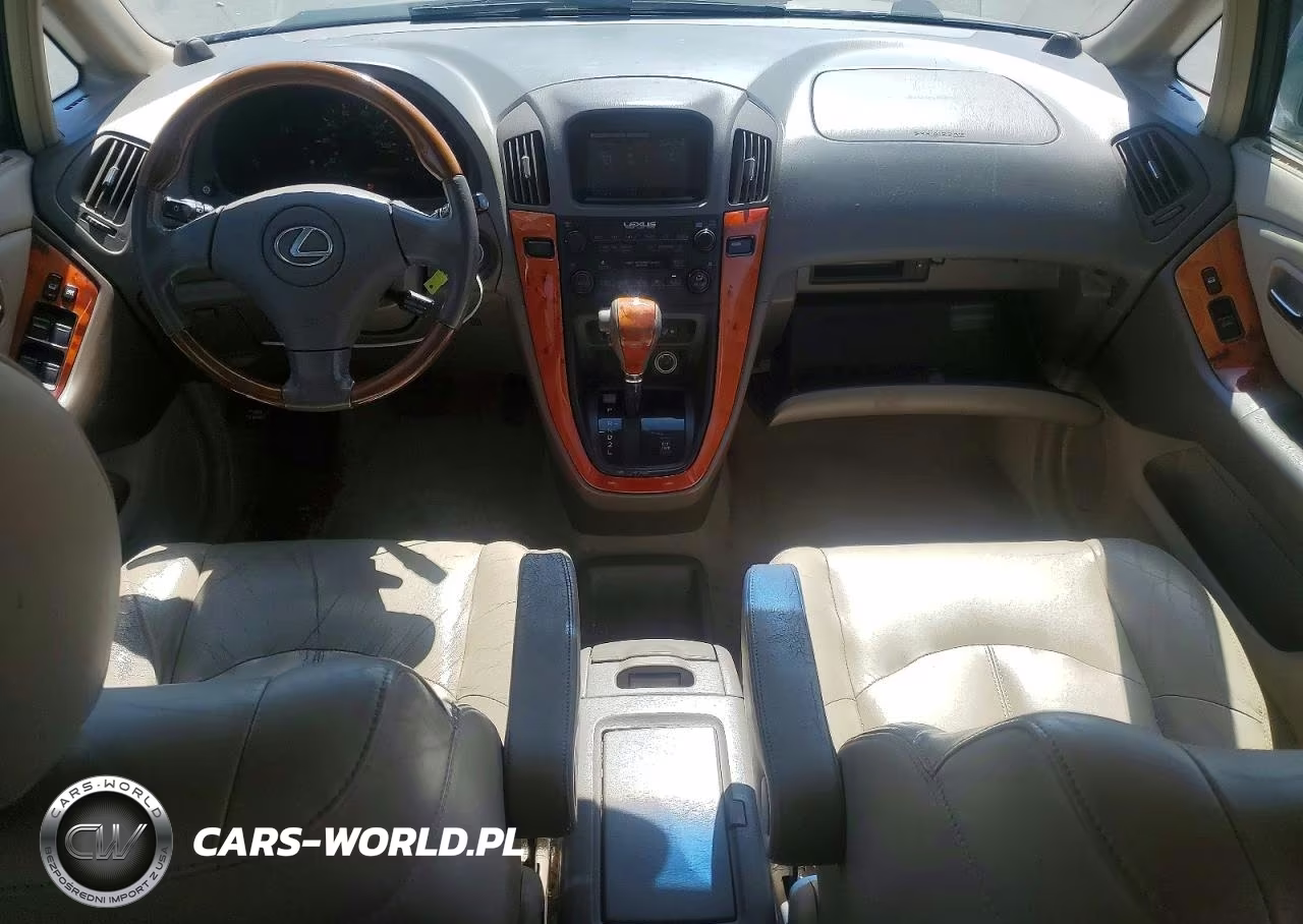 2002 Lexus Rx 300 VIN:JTJHF10U020282179 - 8