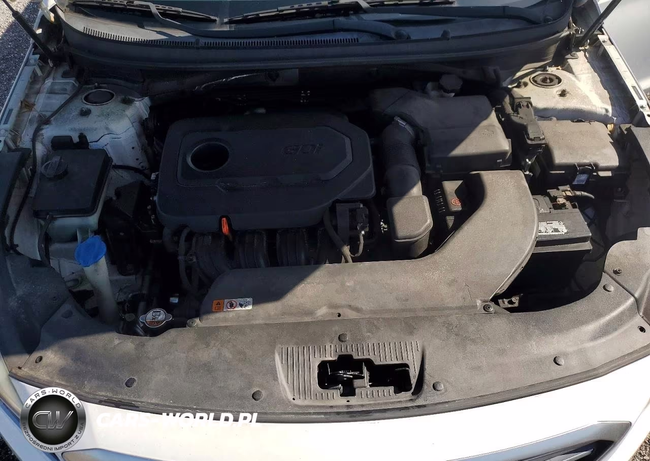 2015 Hyundai Sonata Se VIN:5NPE24AF5FH009105 - 11