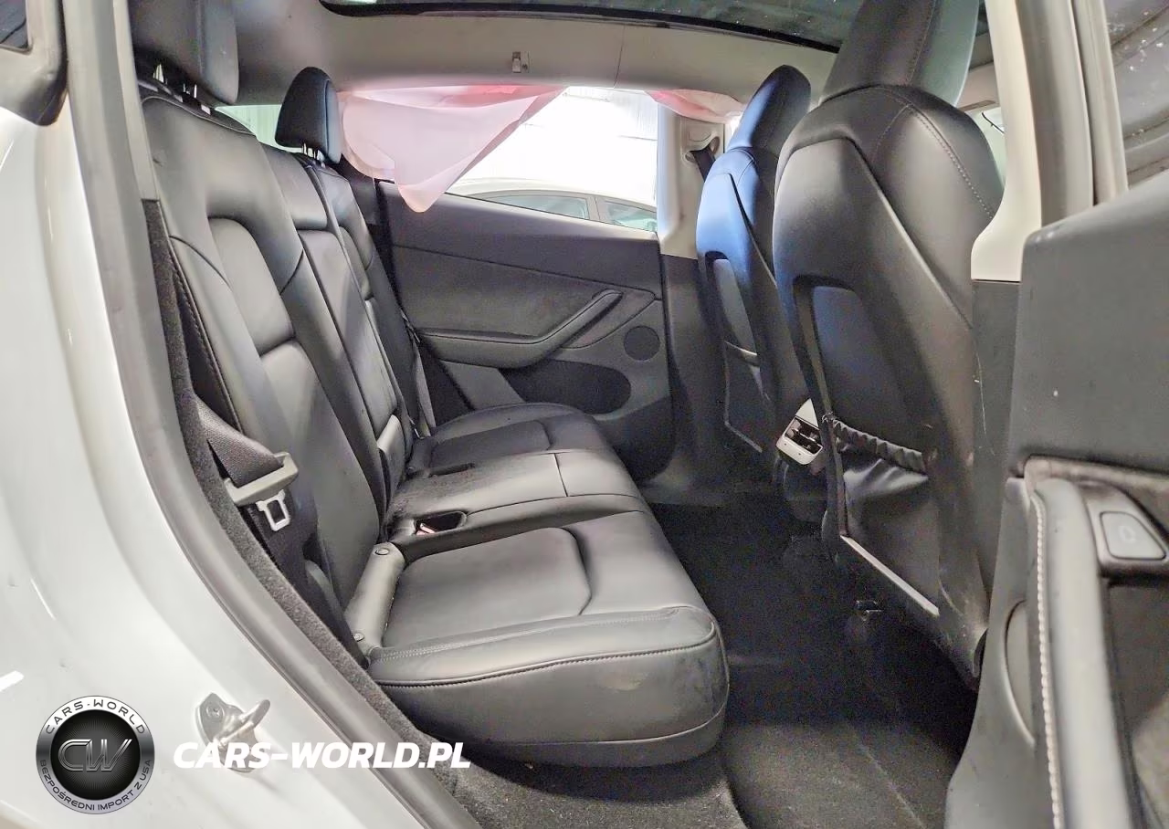 2024 Tesla Model Y VIN:7SAYGDEE1RA256009 - 10
