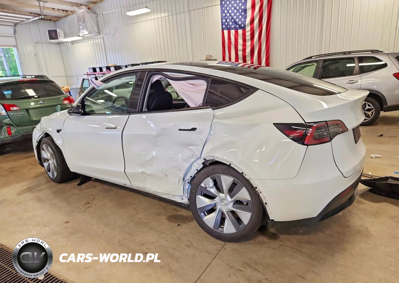 2024 Tesla Model Y VIN:7SAYGDEE1RA256009 - 2