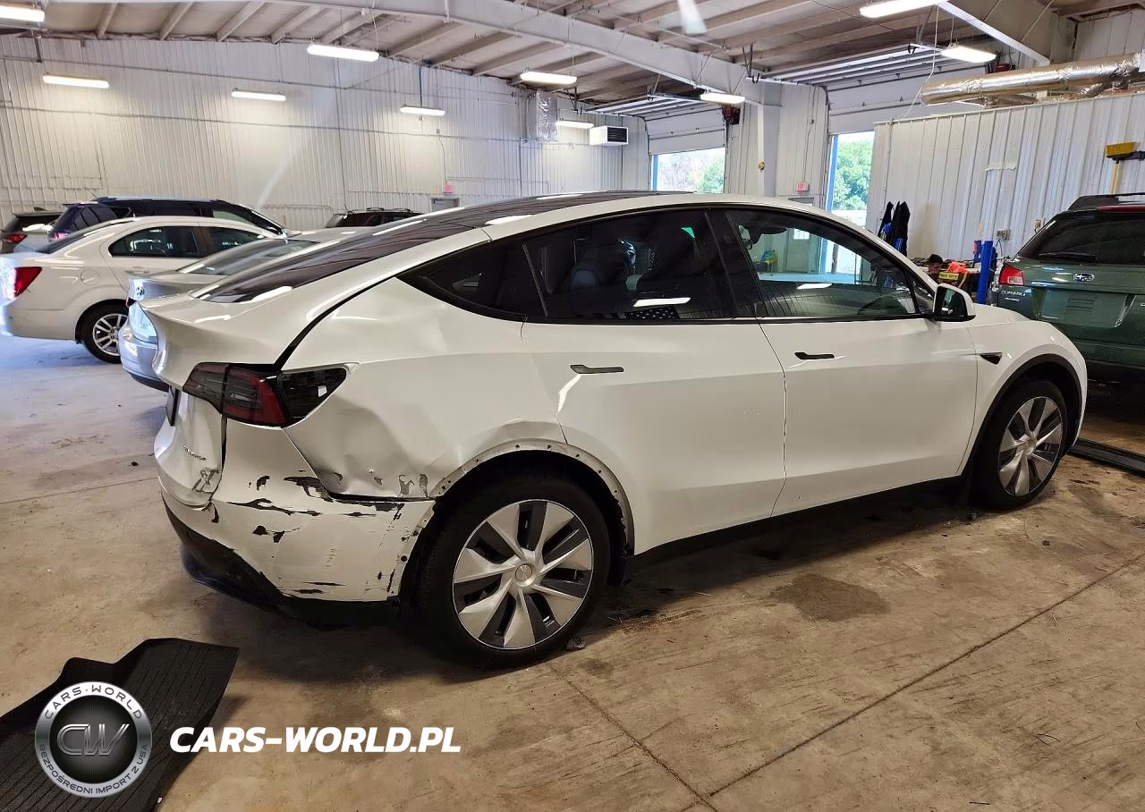 2024 Tesla Model Y VIN:7SAYGDEE1RA256009 - 3