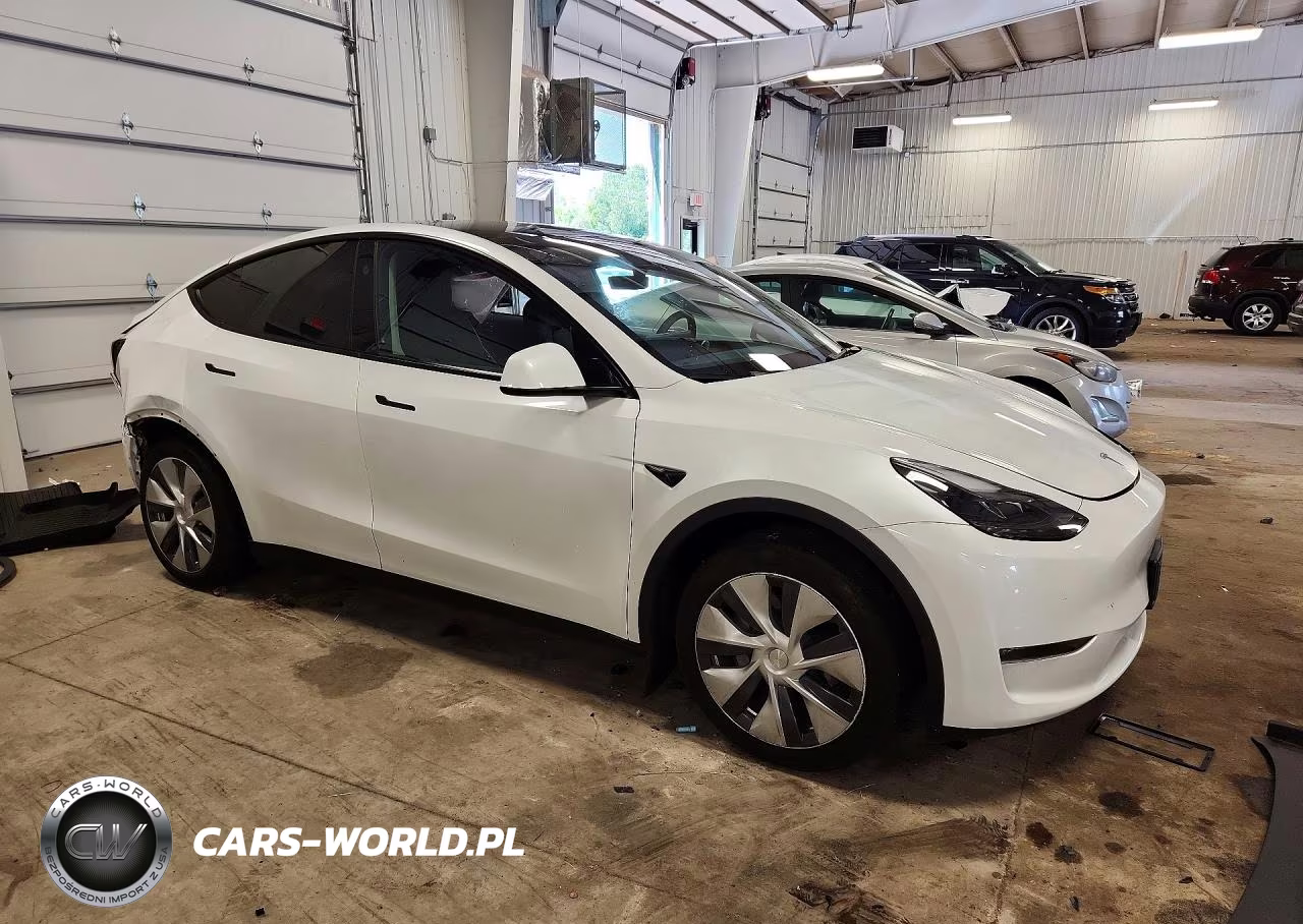 2024 Tesla Model Y VIN:7SAYGDEE1RA256009 - 4