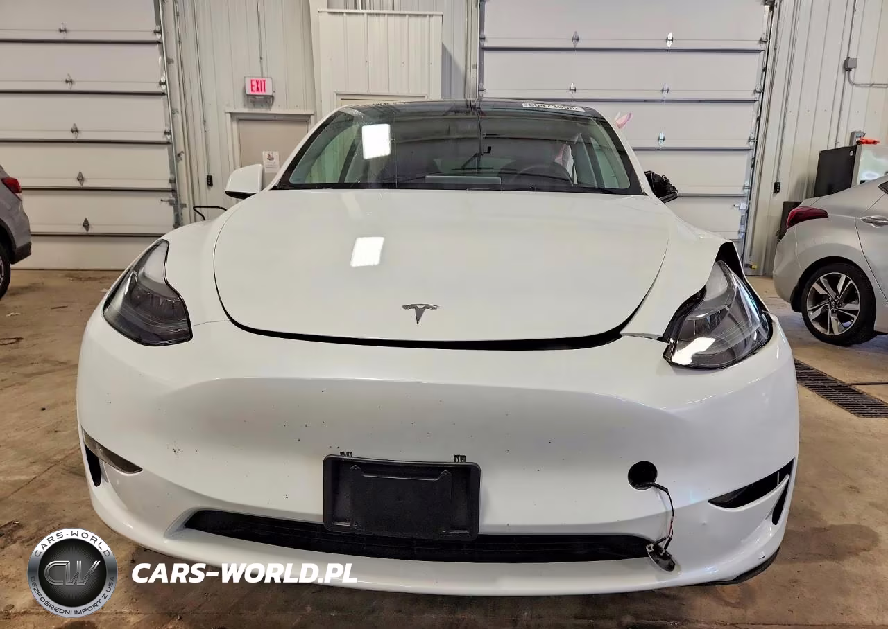 2024 Tesla Model Y VIN:7SAYGDEE1RA256009 - 5