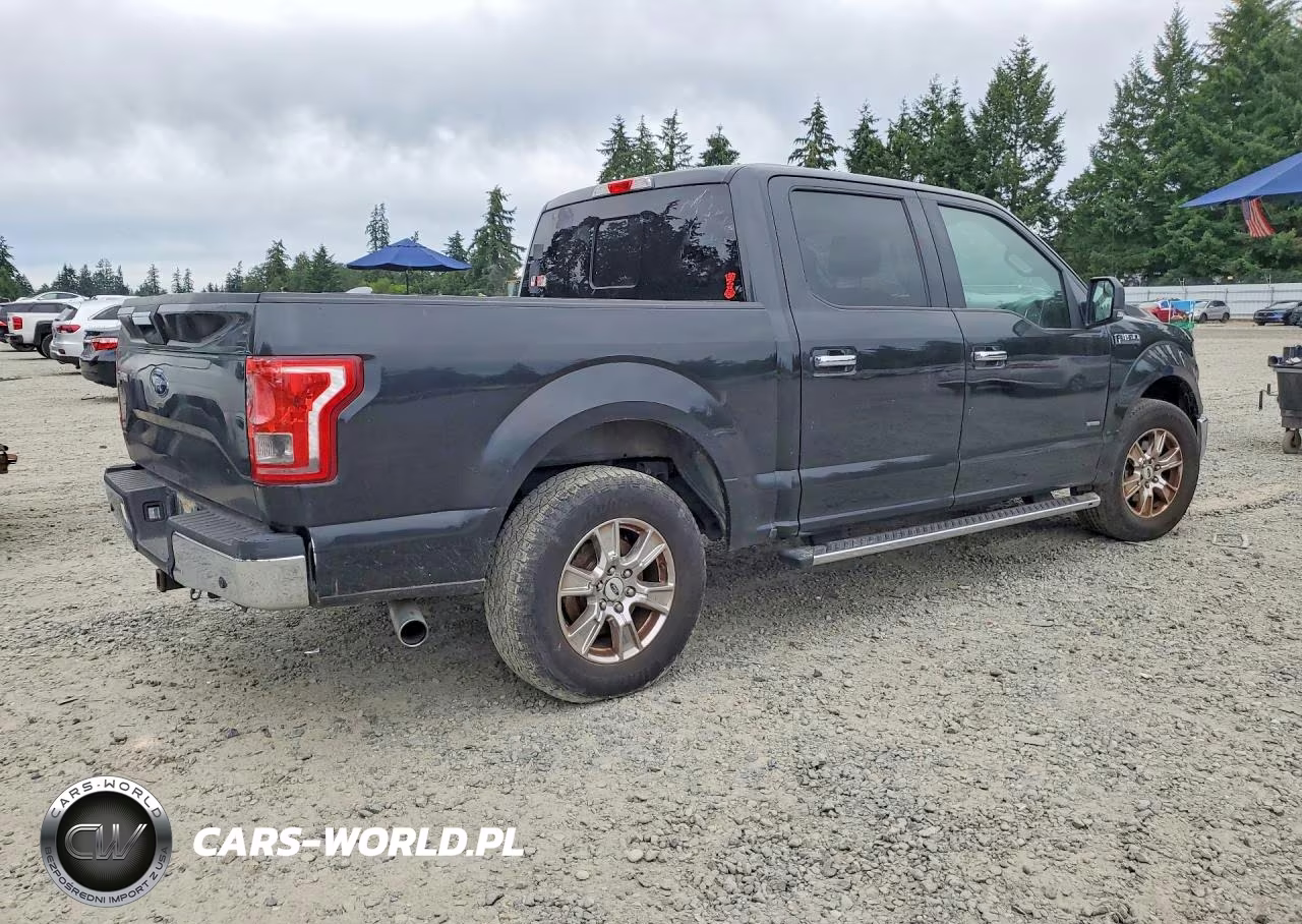 2015 Ford F150 Supercrew VIN:1FTEW1CP4FKD48948 - 3