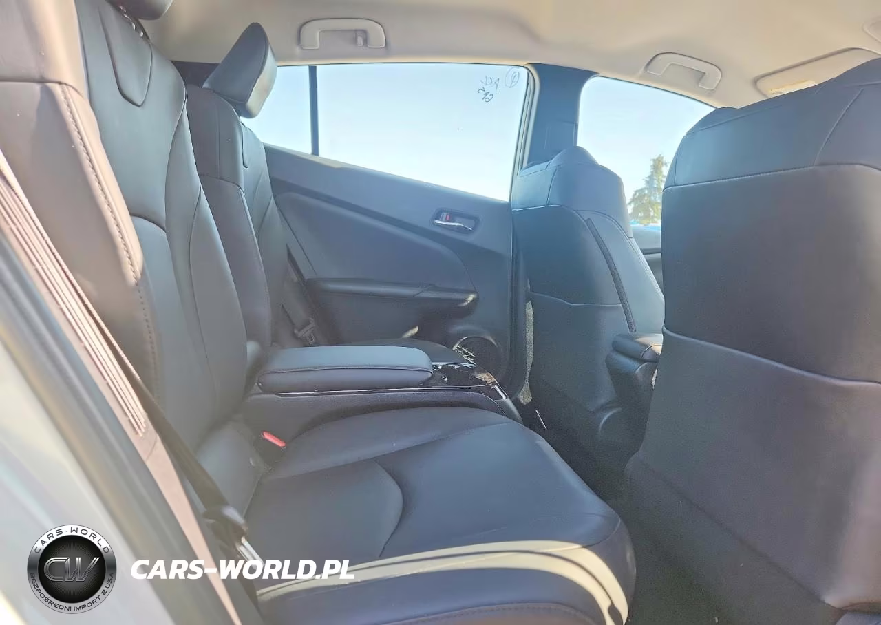 2019 Toyota Prius Prime Premium VIN:JTDKARFP0K3117772 - 10