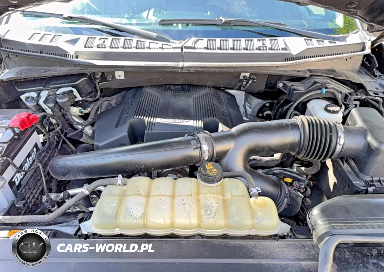 2020 Ford F-150 Xlt VIN:1FTFW1E47LKE07106 - 7