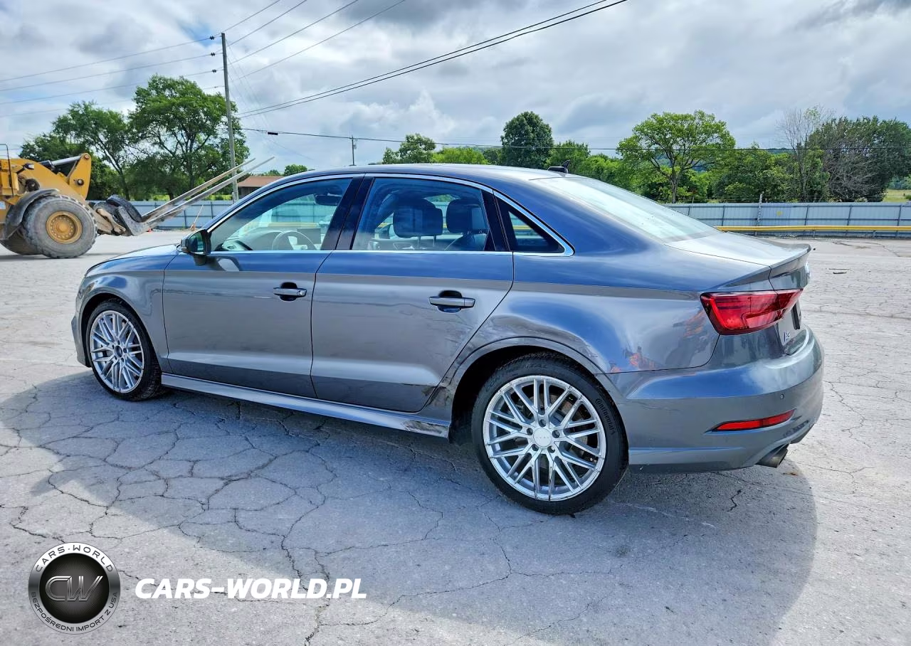 2019 Audi A3 Premium Plus VIN:WAUJEGFF0KA089475 - 2