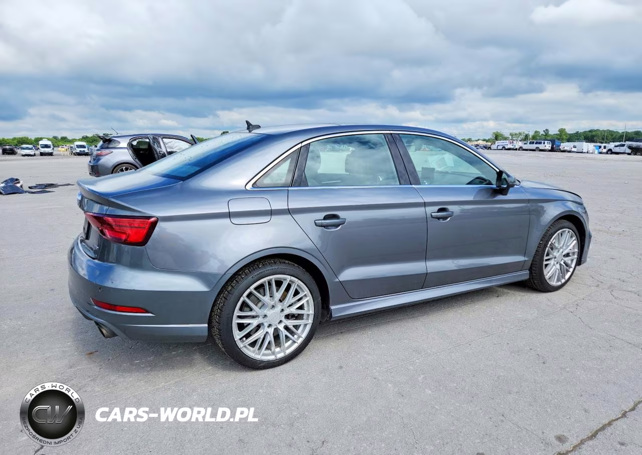 2019 Audi A3 Premium Plus VIN:WAUJEGFF0KA089475 - 3