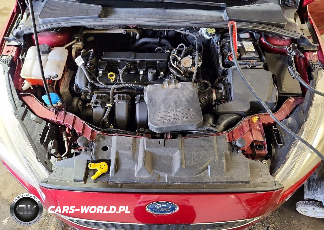 2016 Ford Focus Titanium VIN:1FADP3N23GL330495 - 11