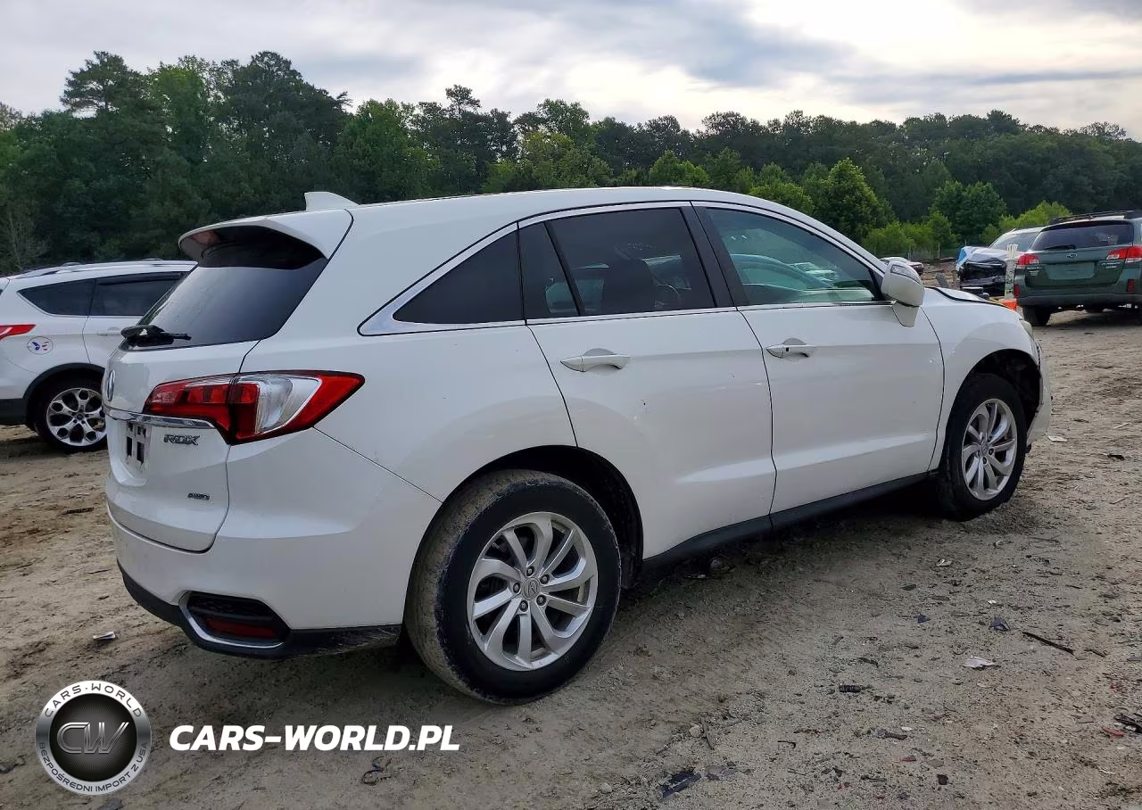 2017 Acura Rdx Technology VIN:5J8TB4H56HL020800 - 3