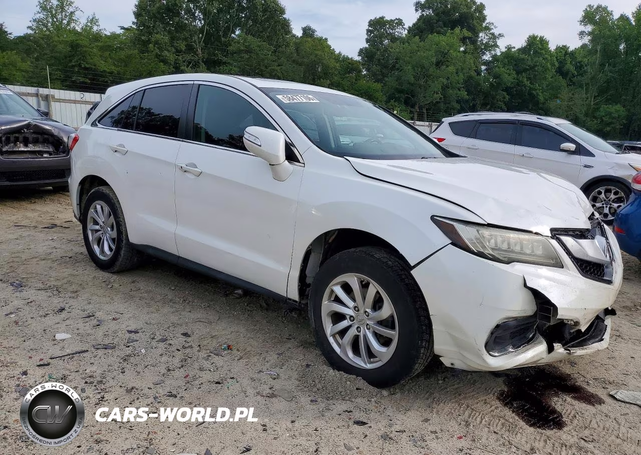 2017 Acura Rdx Technology VIN:5J8TB4H56HL020800 - 4