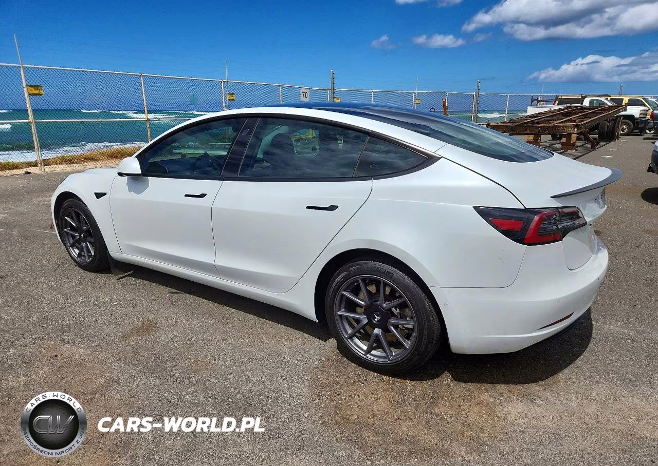2021 Tesla Model 3 VIN:5YJ3E1EA1MF851480 - 2