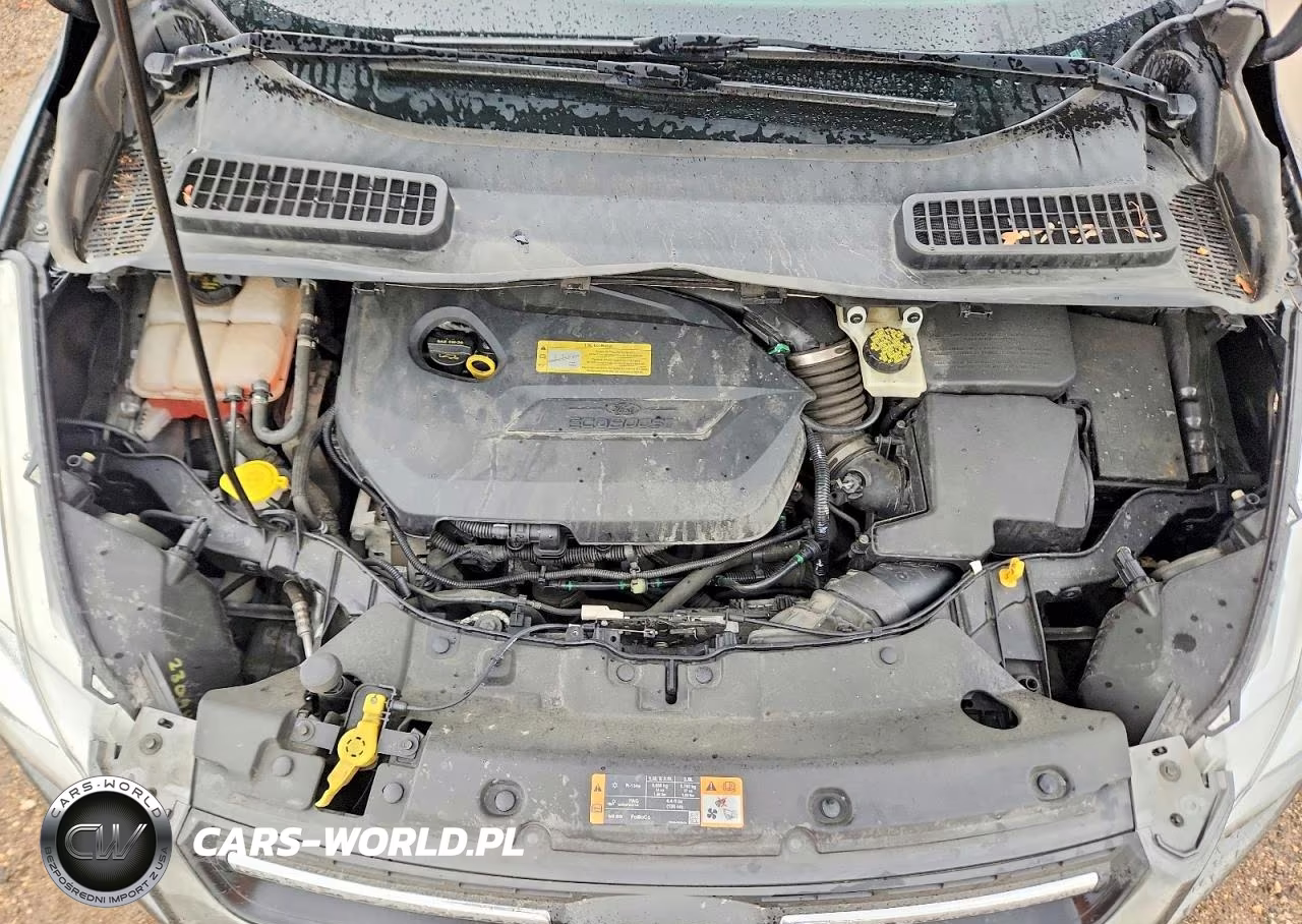 2014 Ford Escape Se VIN:1FMCU0GX2EUB77083 - 11
