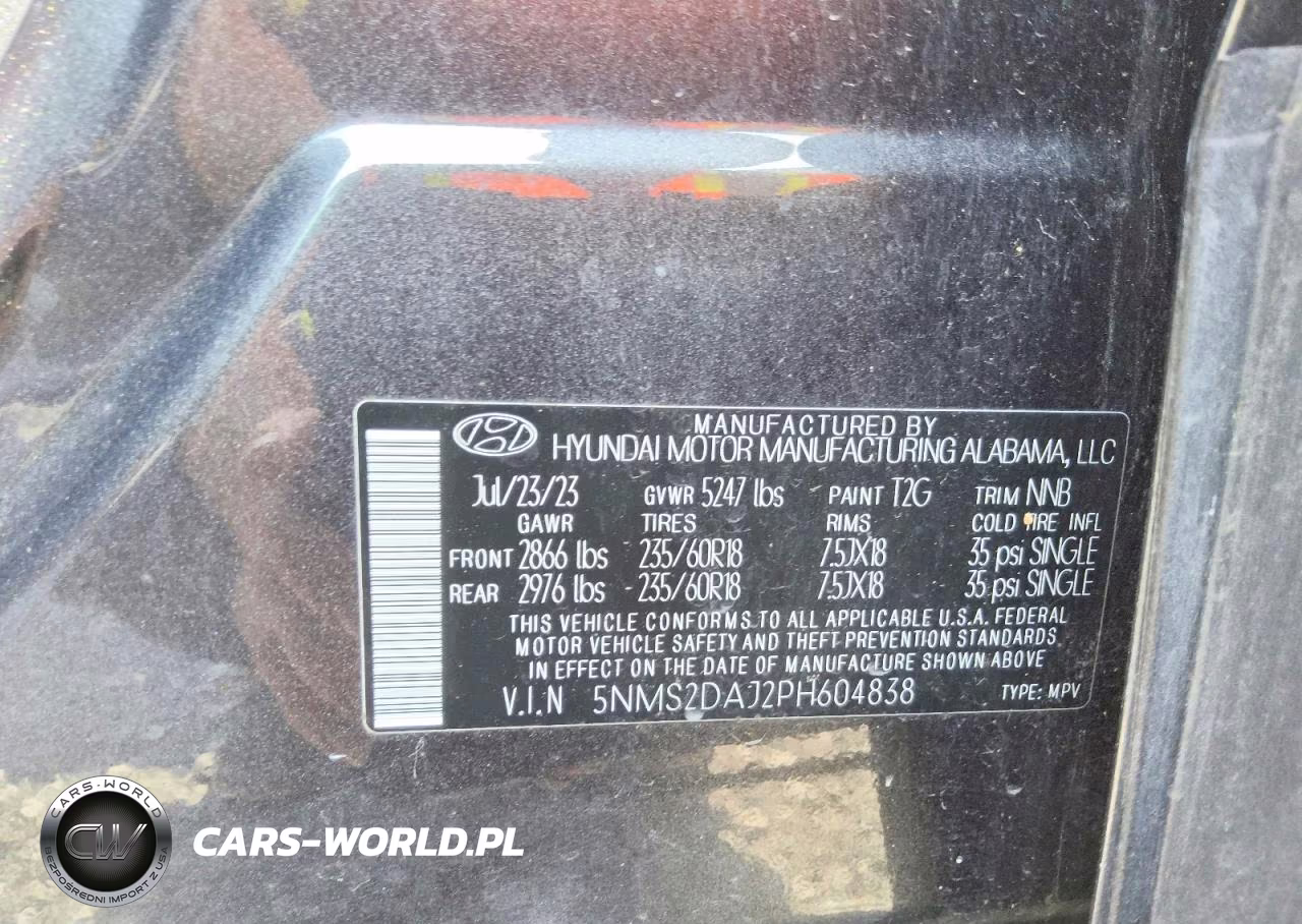 2023 Hyundai Santa Fe Sel VIN:5NMS2DAJ2PH604838 - 13