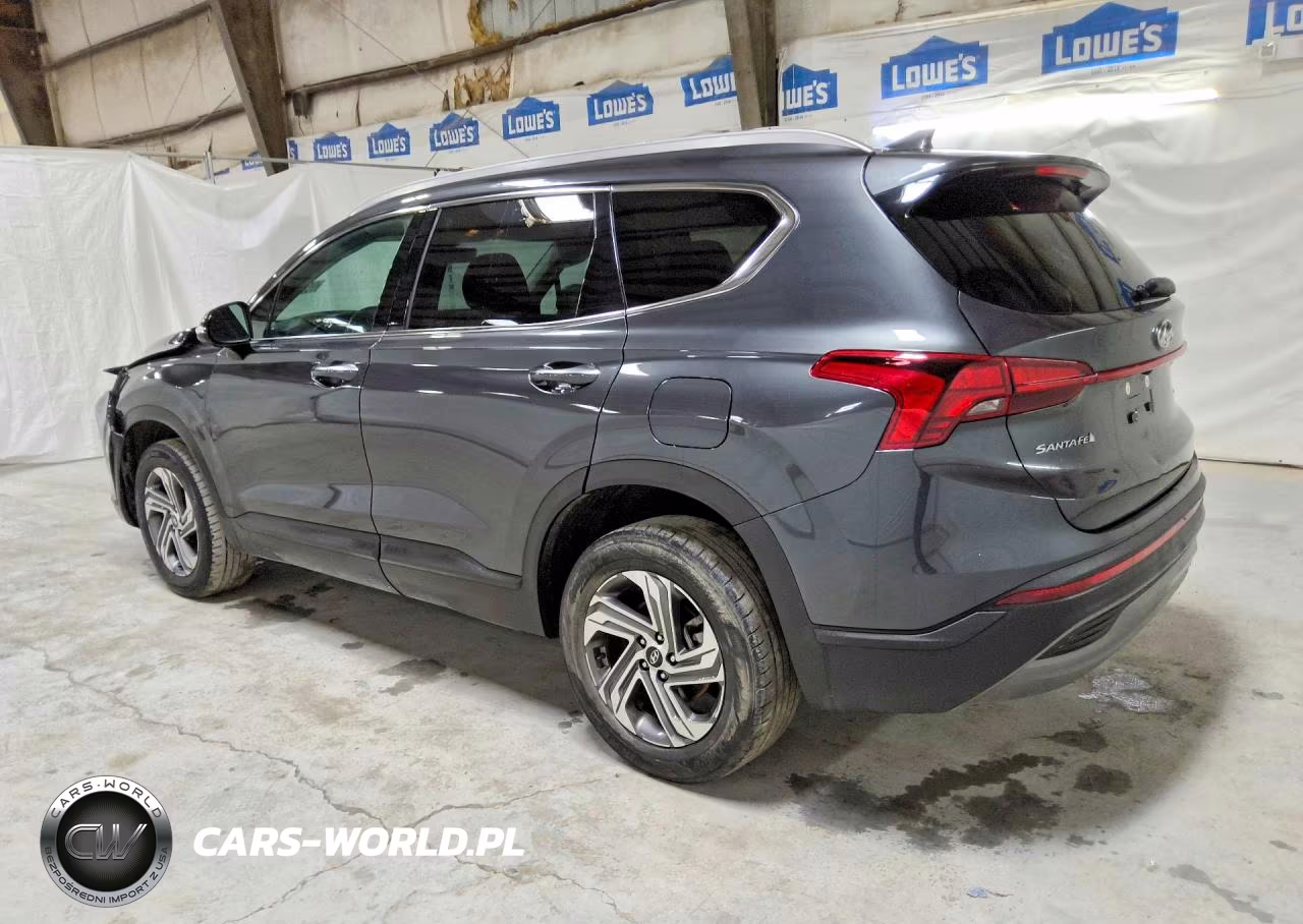 2023 Hyundai Santa Fe Sel VIN:5NMS2DAJ2PH604838 - 2