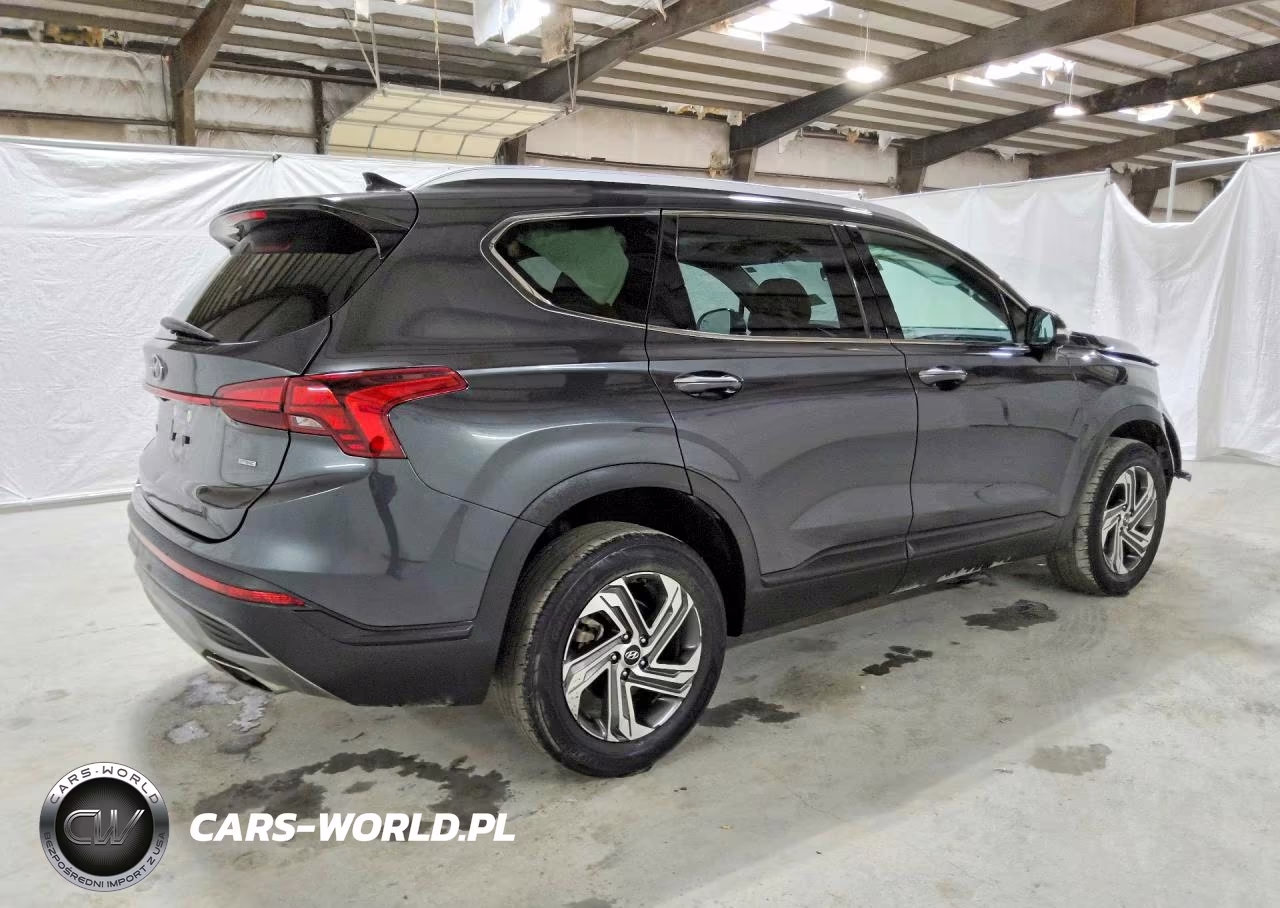 2023 Hyundai Santa Fe Sel VIN:5NMS2DAJ2PH604838 - 3
