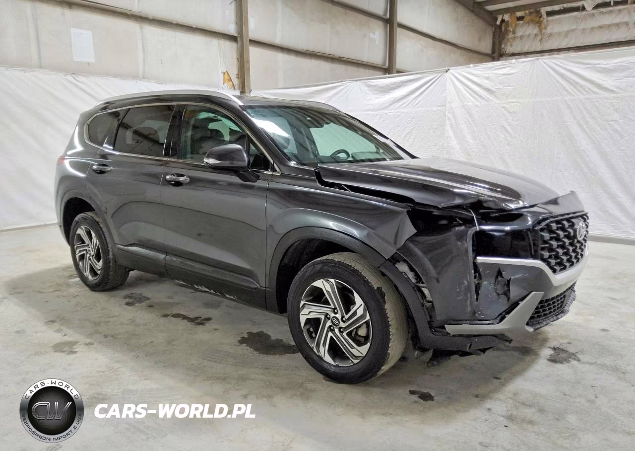 2023 Hyundai Santa Fe Sel VIN:5NMS2DAJ2PH604838 - 4