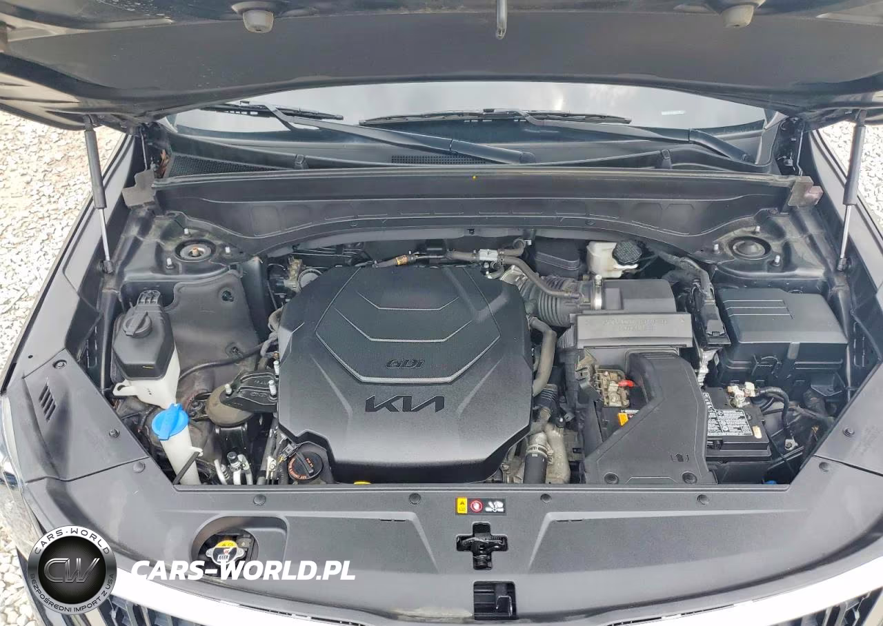 2023 Kia Telluride Lx VIN:5XYP34GC3PG357898 - 12