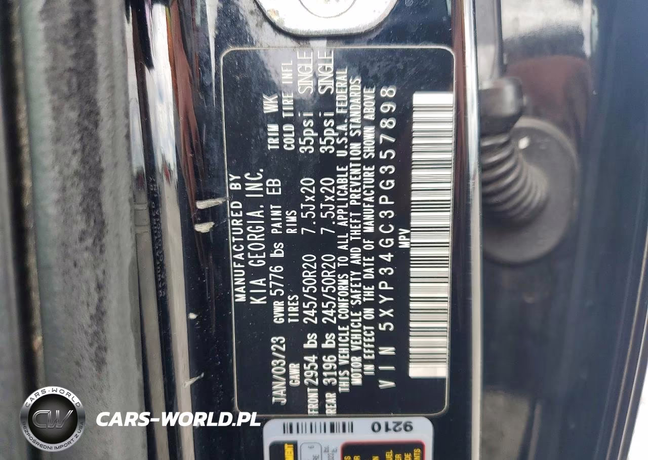 2023 Kia Telluride Lx VIN:5XYP34GC3PG357898 - 13