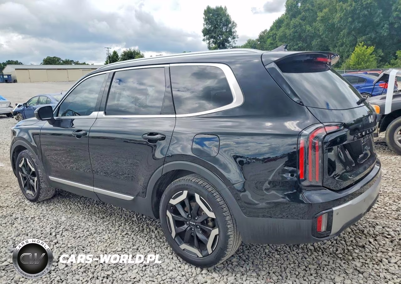 2023 Kia Telluride Lx VIN:5XYP34GC3PG357898 - 2