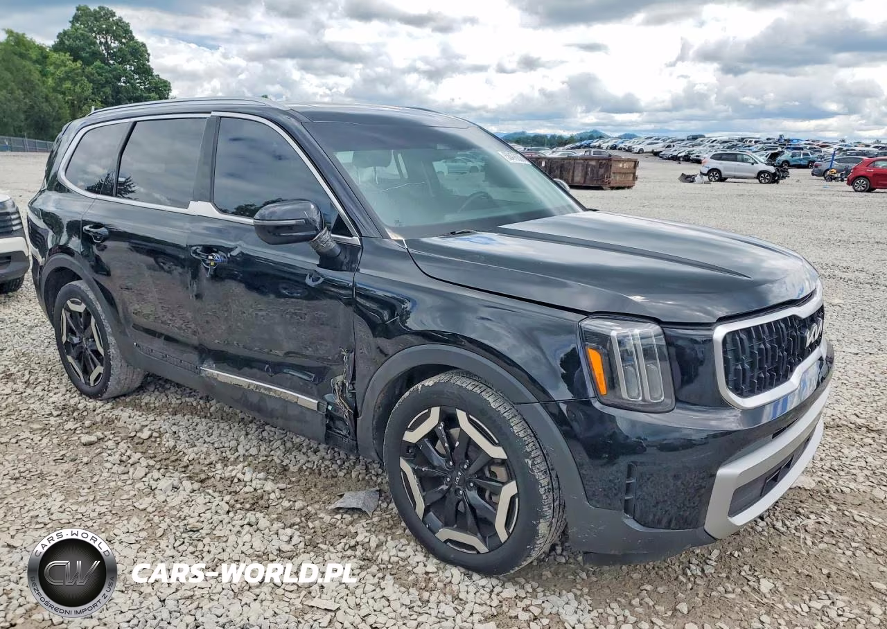 2023 Kia Telluride Lx VIN:5XYP34GC3PG357898 - 4