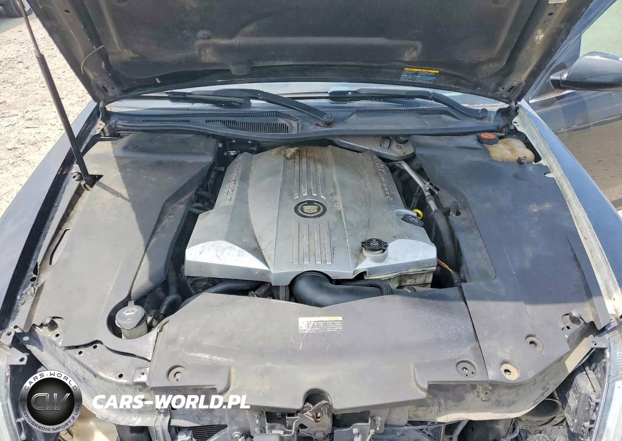 2006 Cadillac Sts VIN:1G6DC67A560106949 - 11