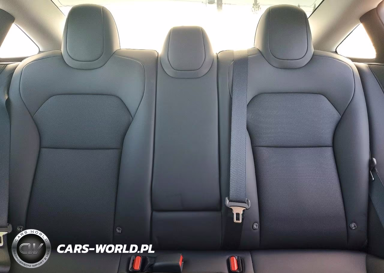 2024 Tesla Model 3 VIN:5YJ3E1EA7RF849613 - 10