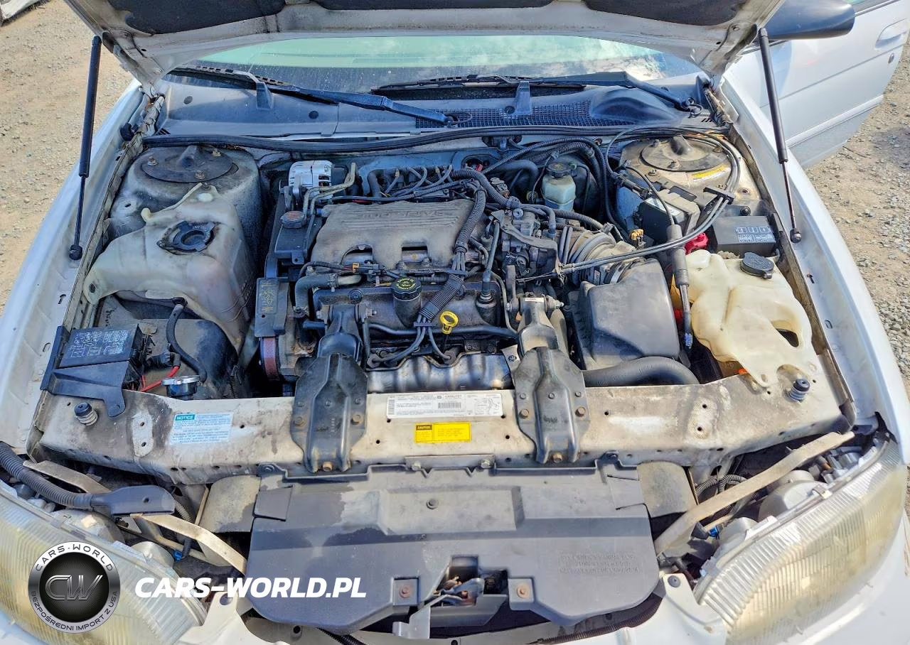 1999 Chevrolet Lumina Base VIN:2G1WL52M5X9187663 - 11