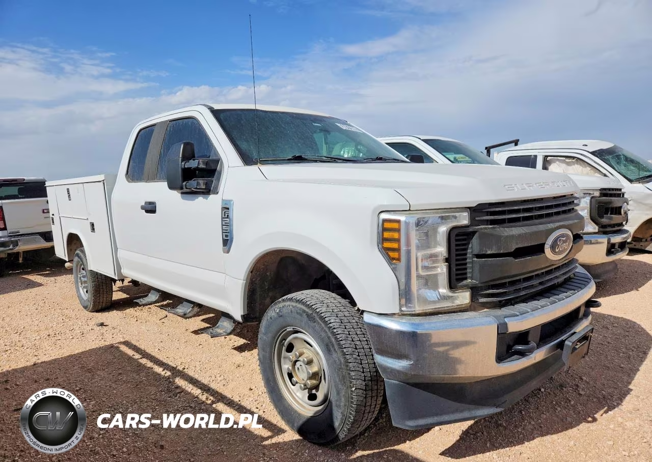 2019 Ford F250 Super Duty VIN:1FT7X2B60KEG41064 - 4