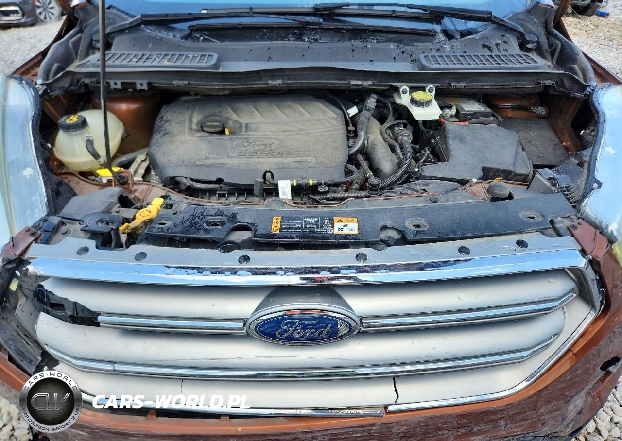 2017 Ford Escape Se VIN:1FMCU0GD0HUA57406 - 12