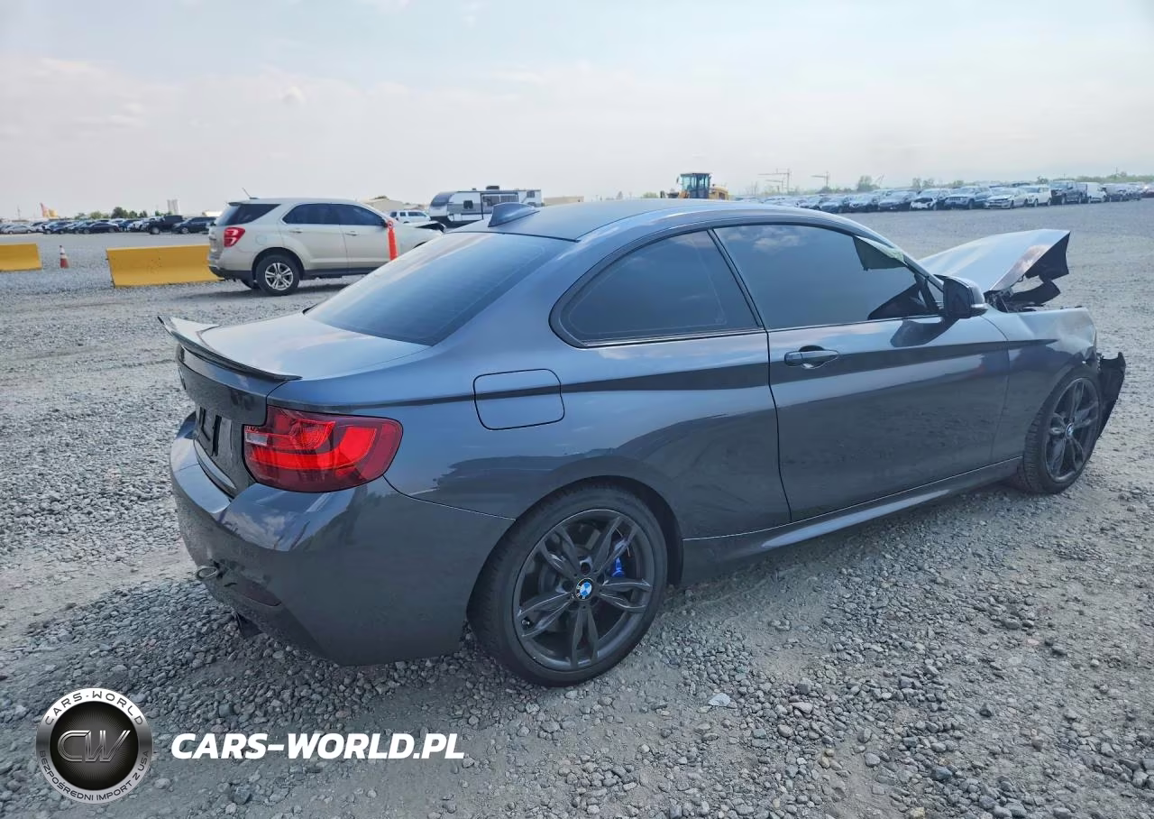 2016 BMW M235Xi VIN:WBA1J9C5XGV696406 - 3