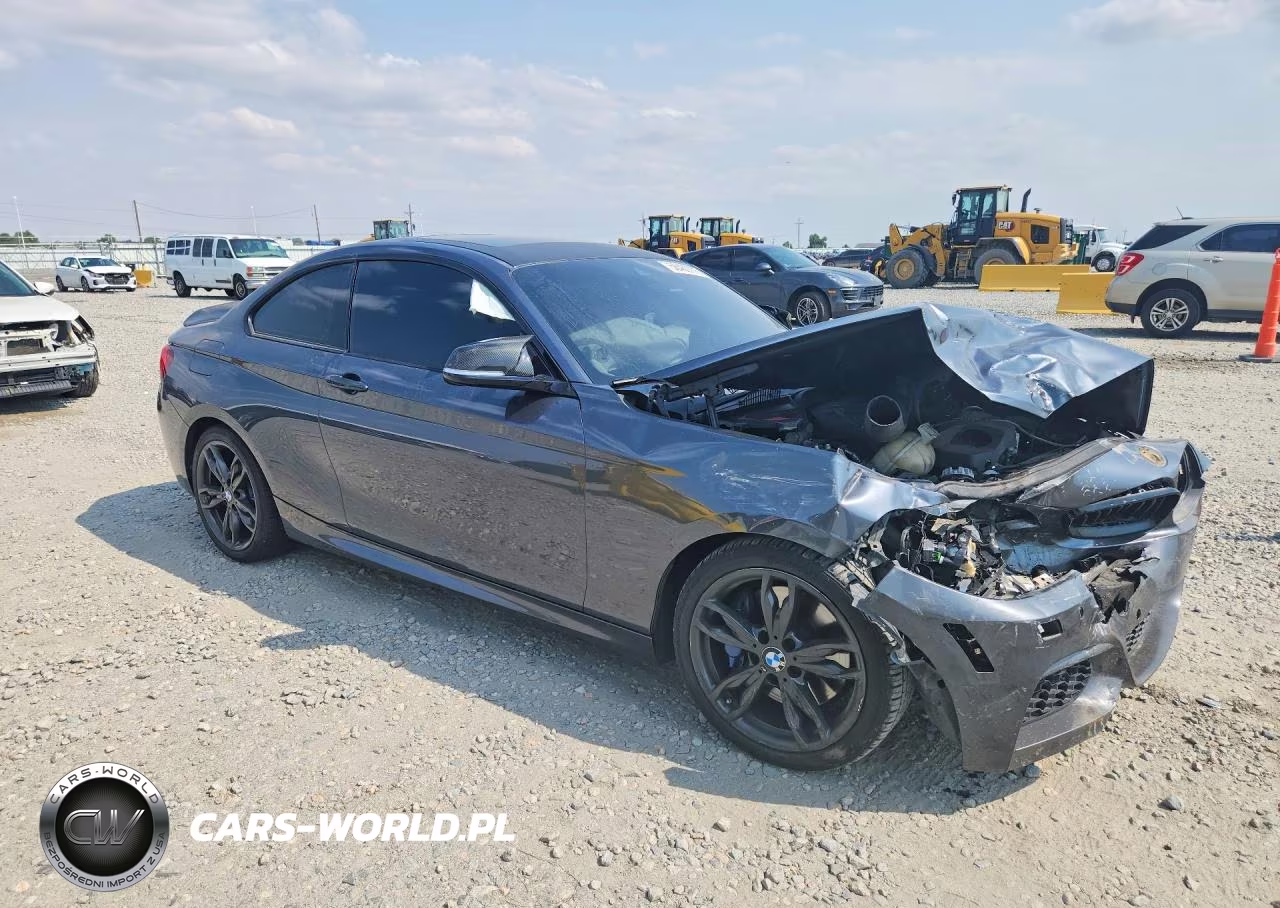 2016 BMW M235Xi VIN:WBA1J9C5XGV696406 - 4