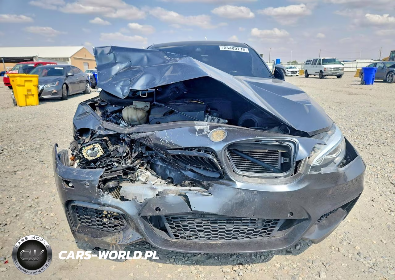 2016 BMW M235Xi VIN:WBA1J9C5XGV696406 - 5