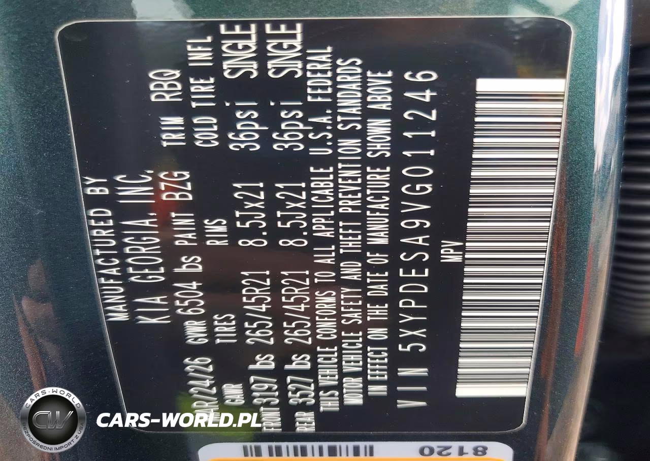 2027 Kia Telluride Hybrid X-Line Sx VIN:5XYPDESA9VG011246 - 12