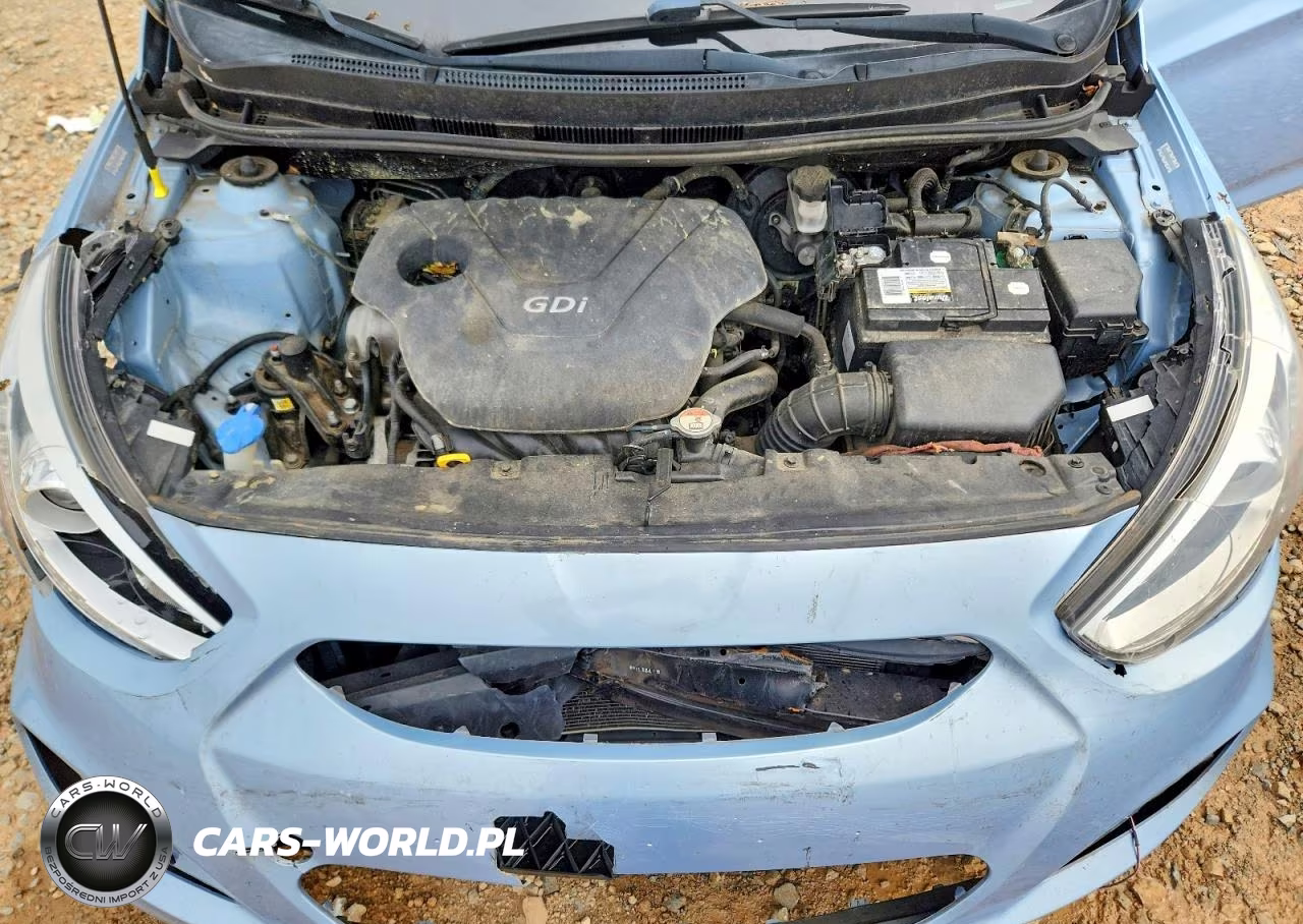 2014 Hyundai Accent Se VIN:KMHCU5AE6EU150439 - 12