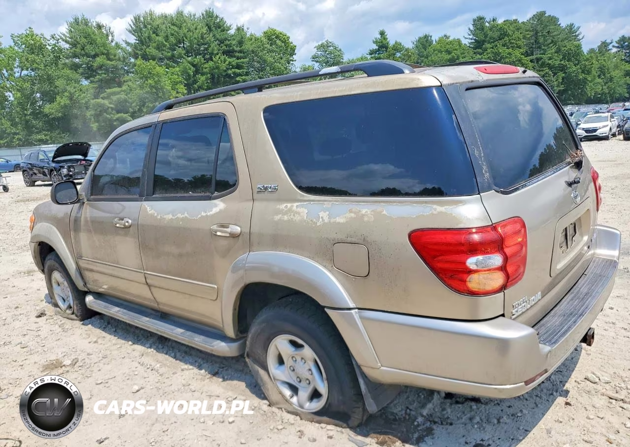 2002 Toyota Sequoia Sr5 VIN:5TDBT44A32S056458 - 2