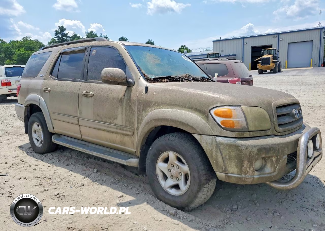 2002 Toyota Sequoia Sr5 VIN:5TDBT44A32S056458 - 4