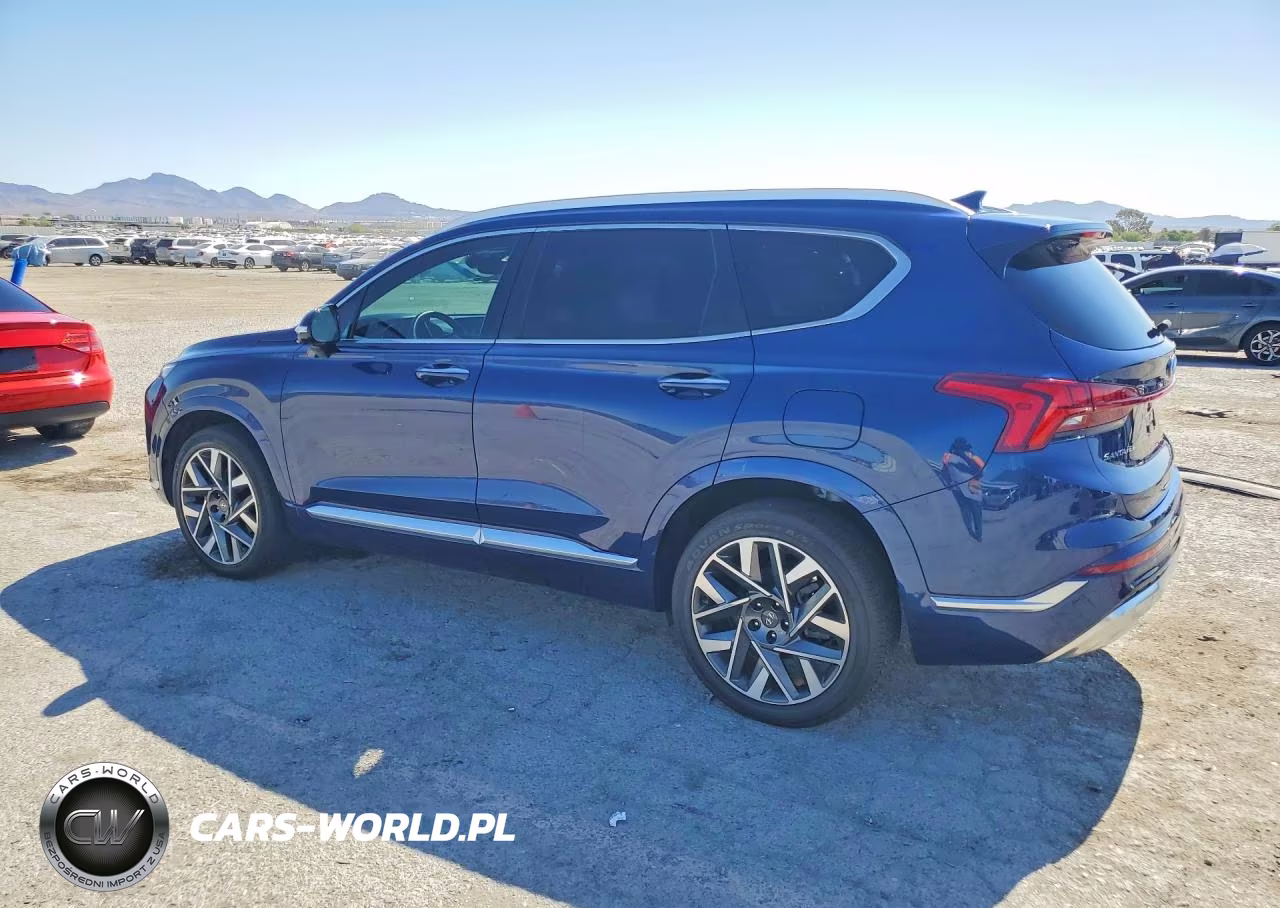 2022 Hyundai Santa Fe Calligraphy VIN:5NMS54AL3NH417484 - 2