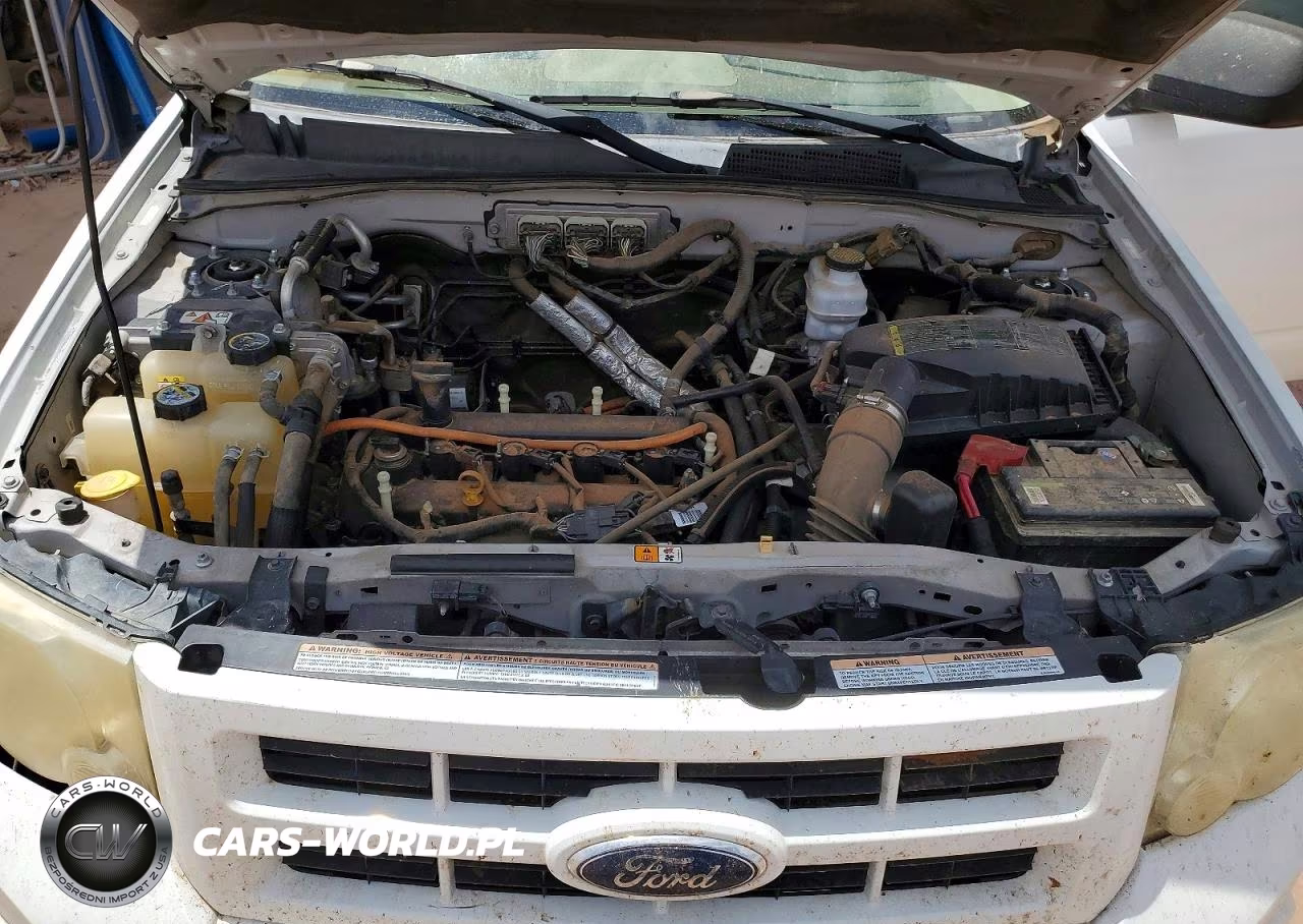 2009 Ford Escape Hybrid VIN:1FMCU493X9KA71273 - 11