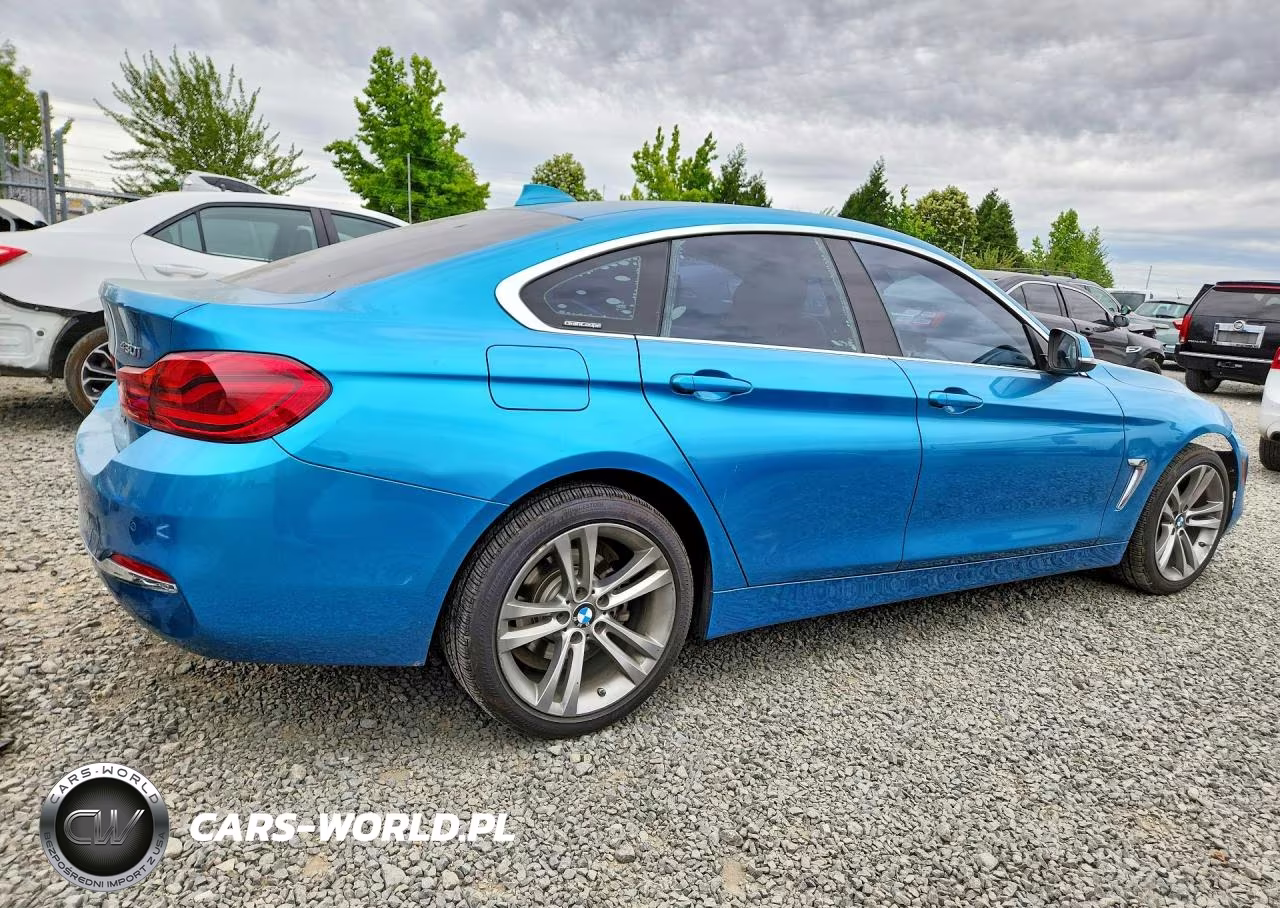2018 BMW 430Xi Gran Coupe VIN:WBA4J3C50JBG95769 - 3