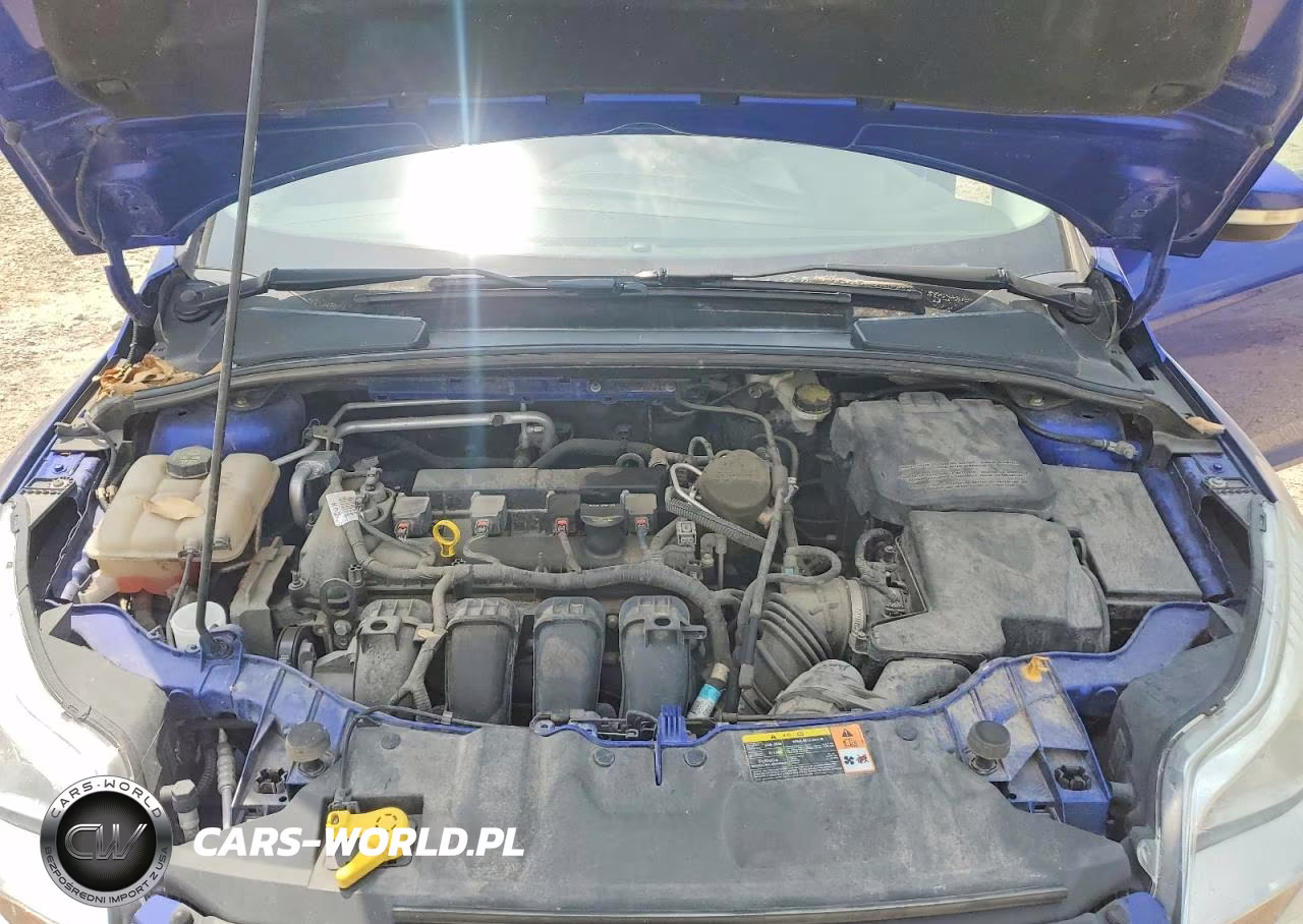 2014 Ford Focus Se VIN:1FADP3K24EL111966 - 11