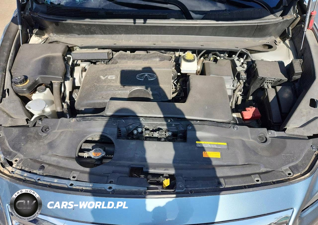 2019 Infiniti Qx60 Pure VIN:5N1DL0MN3KC559571 - 12