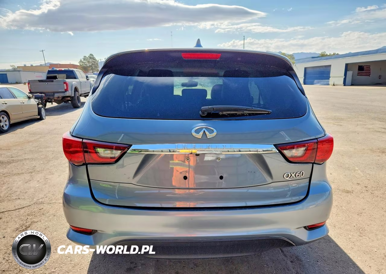 2019 Infiniti Qx60 Pure VIN:5N1DL0MN3KC559571 - 6
