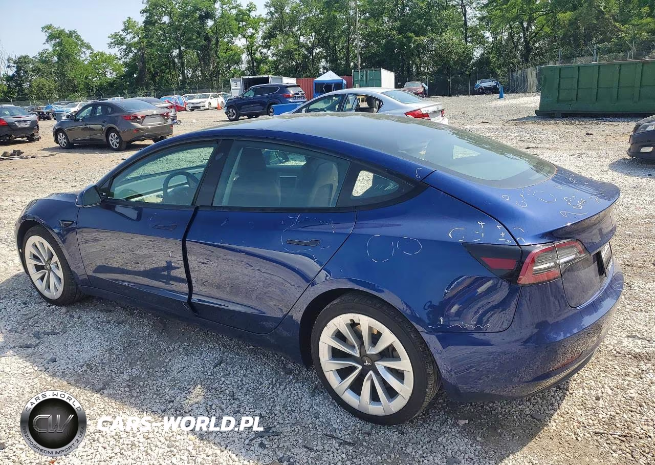 2022 Tesla Model 3 VIN:5YJ3E1EA3NF190231 - 2