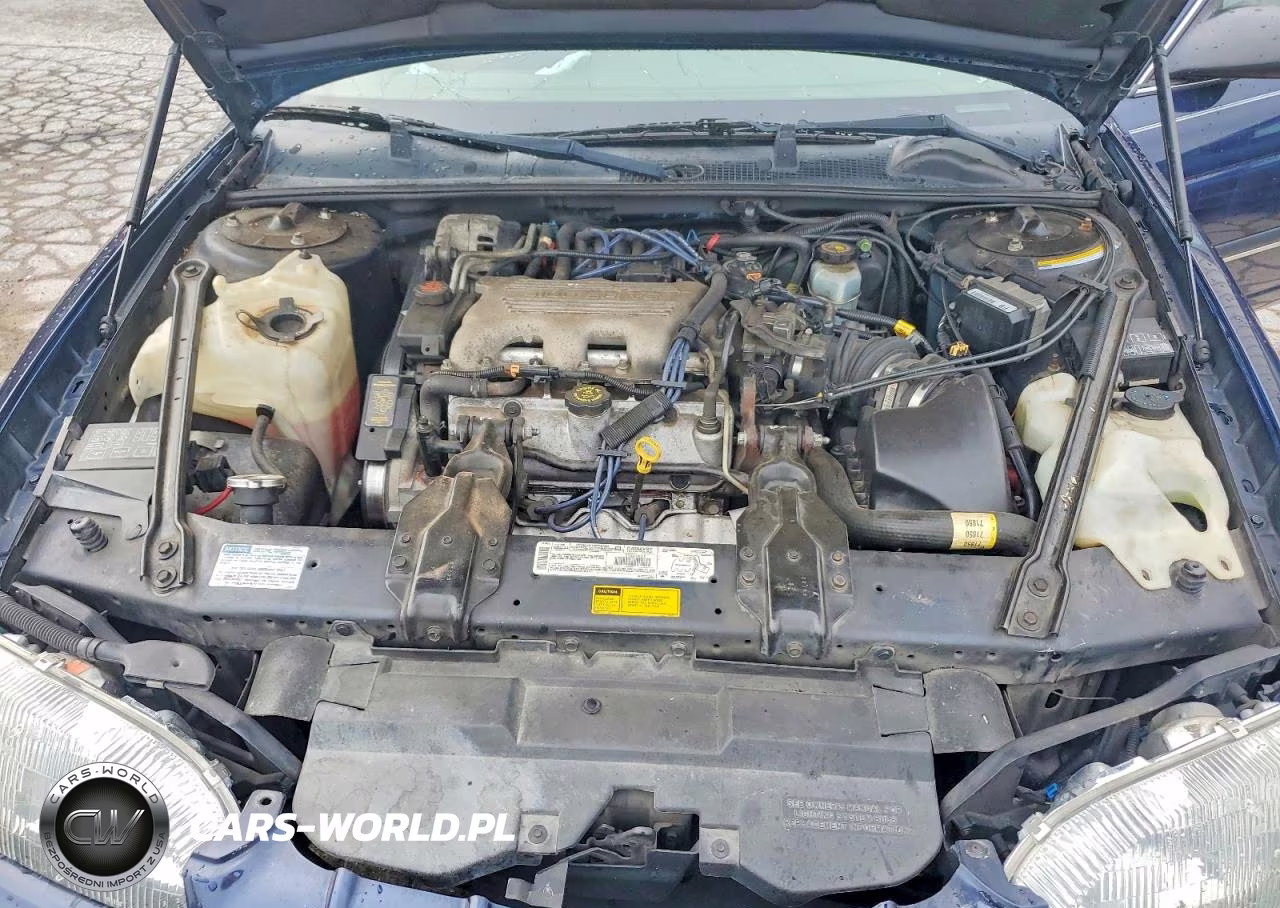 1999 Chevrolet Lumina Base-Ls VIN:2G1WL52M8X9229615 - 11