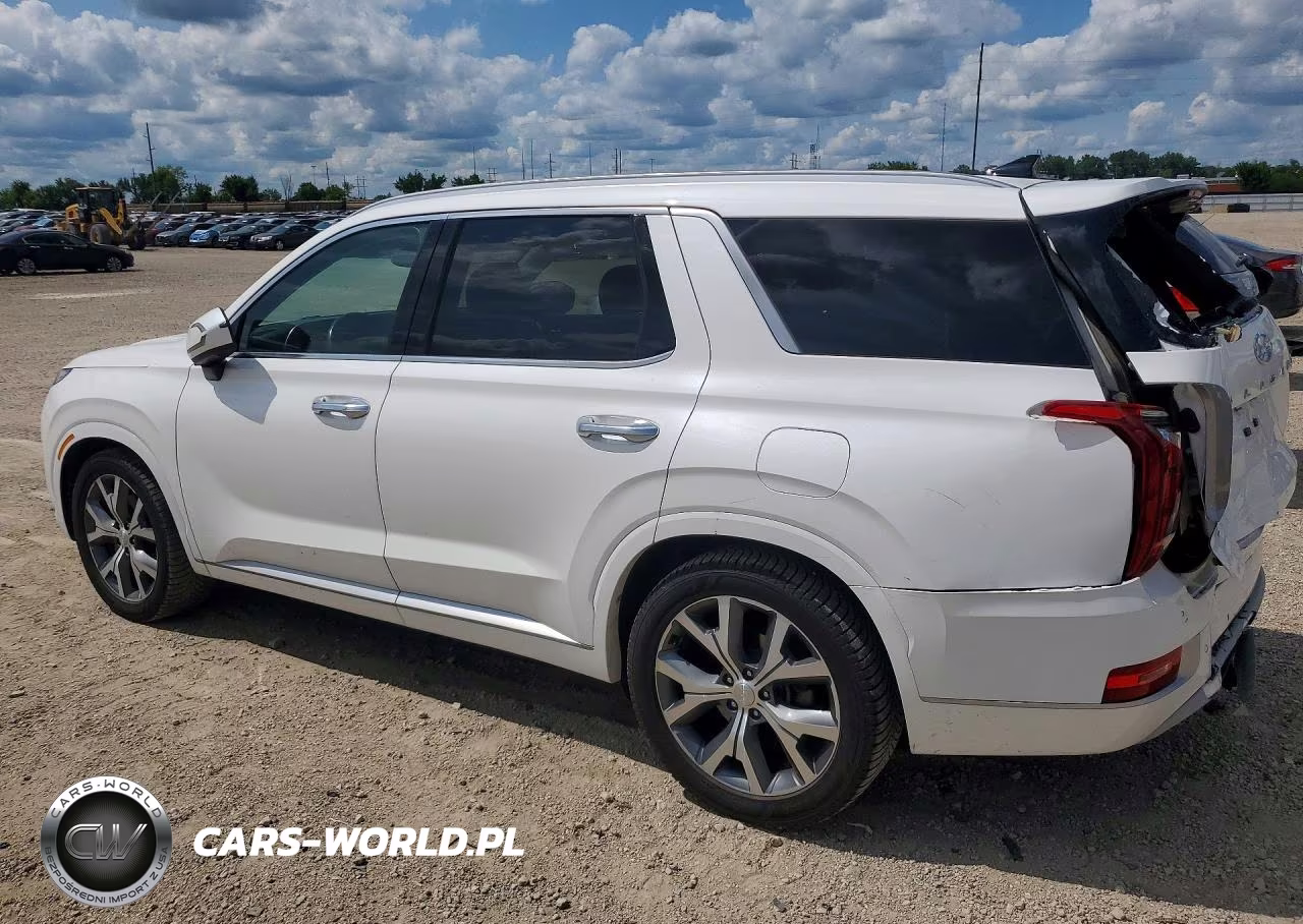 2021 Hyundai Palisade Limited VIN:KM8R5DHE4MU267359 - 2