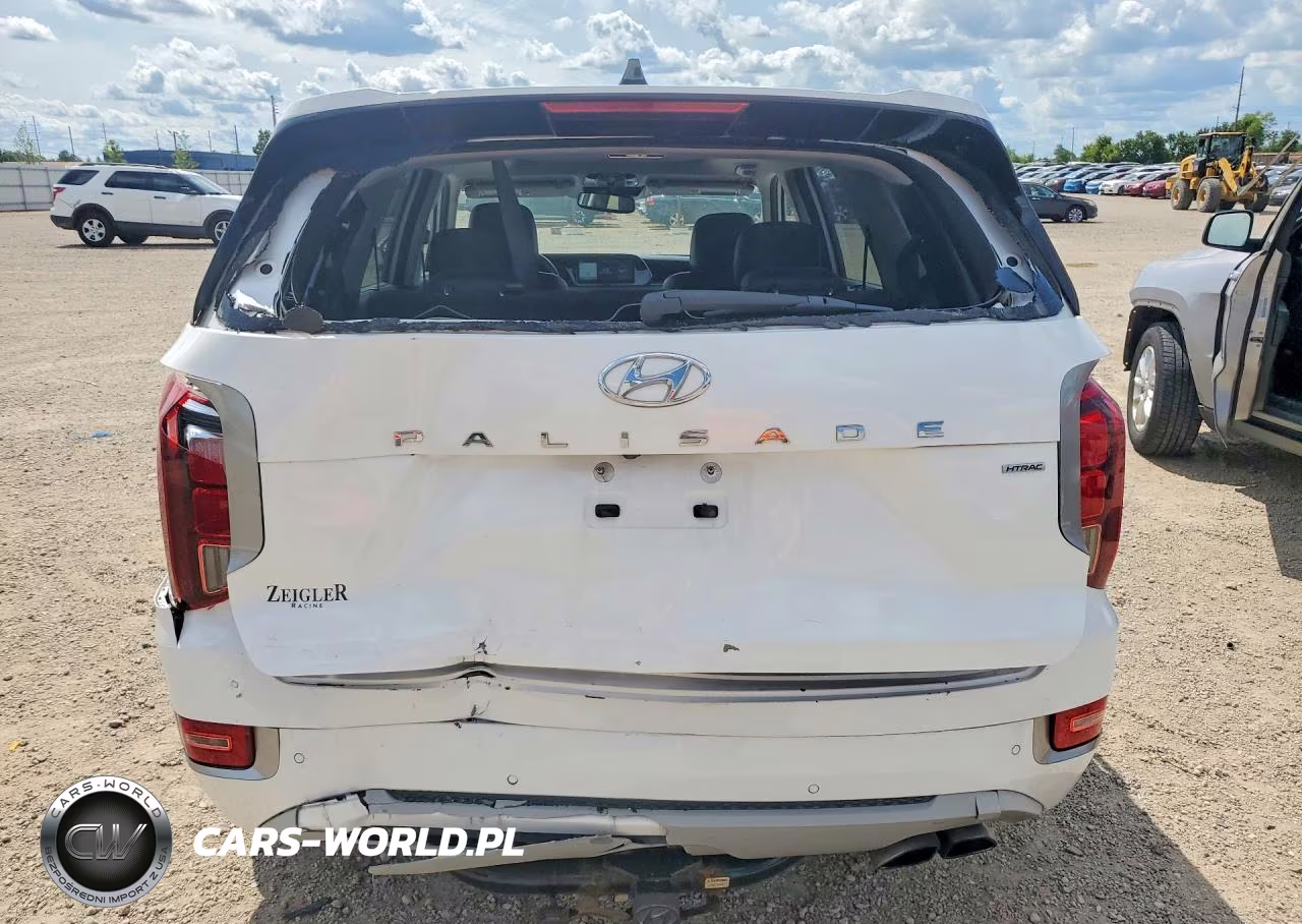 2021 Hyundai Palisade Limited VIN:KM8R5DHE4MU267359 - 6